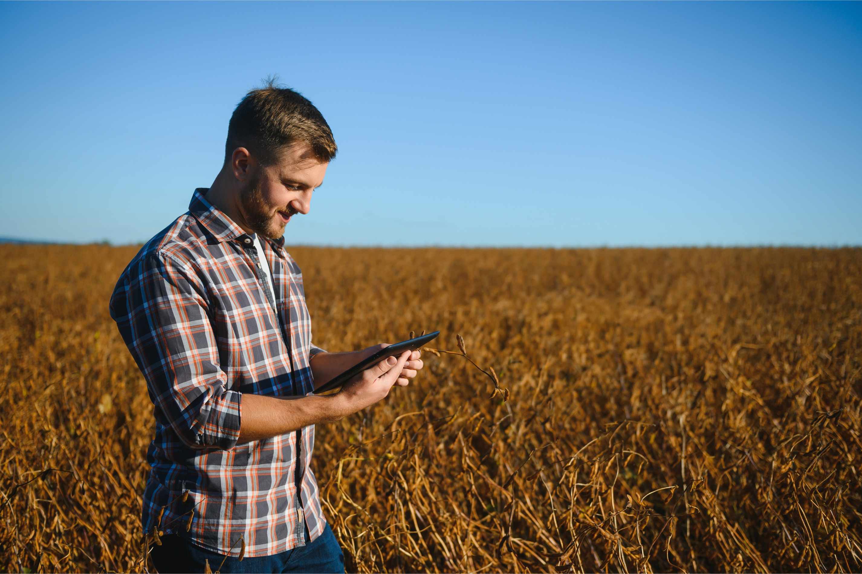 Farmer in a field holding a tablet