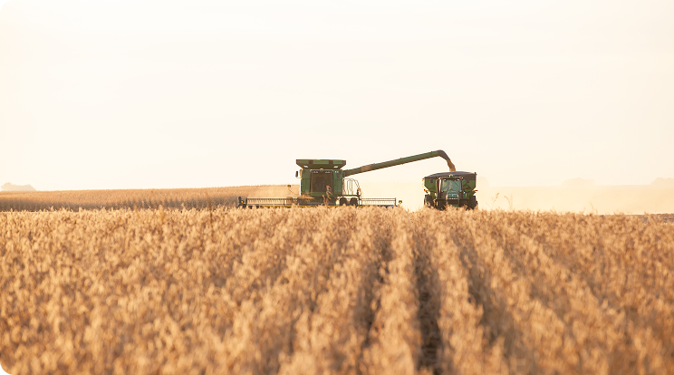 Planning for Harvest Efficiency Starts with Grain Cart Data featured image